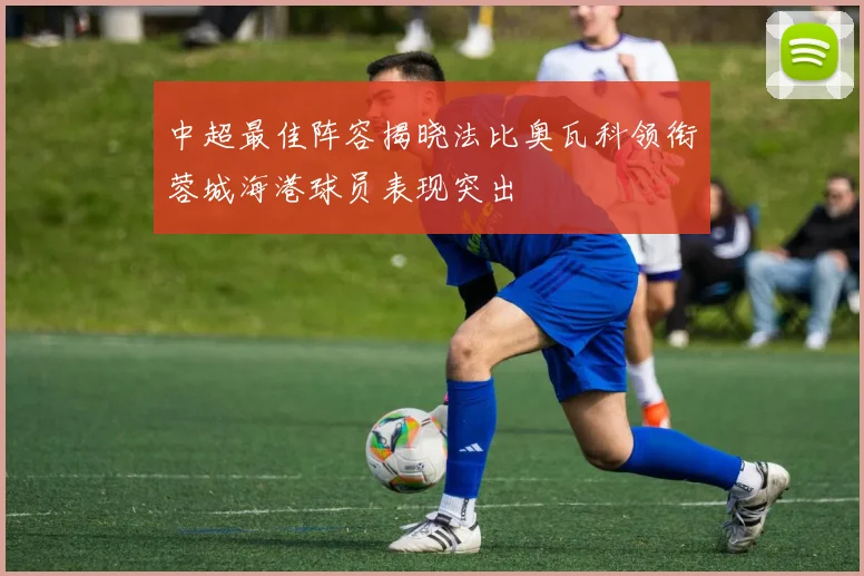 中超最佳阵容揭晓法比奥瓦科领衔蓉城海港球员表现突出