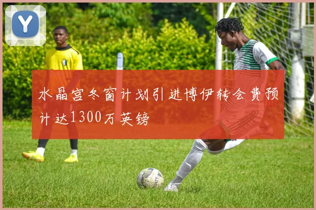 水晶宫冬窗计划引进博伊转会费预计达1300万英镑